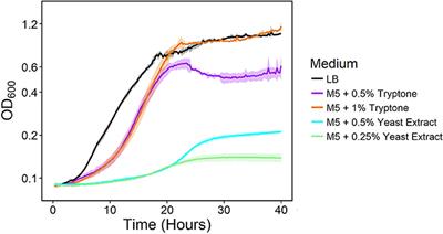 Shewanella oneidensis NADH Dehydrogenase Mutants Exhibit an Amino Acid Synthesis Defect